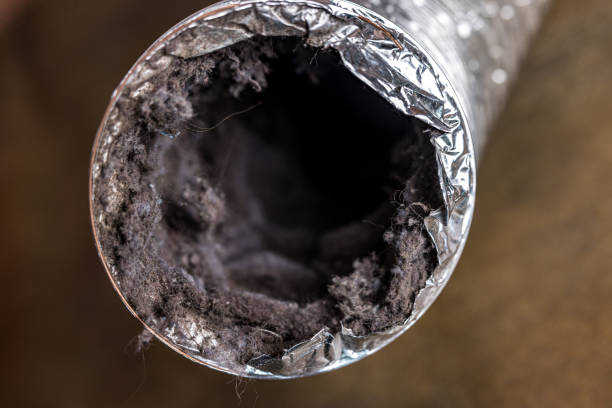  Bridgeport, AL Airduct Cleaning Pros