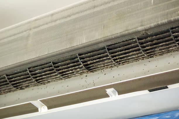 Best HVAC System Cleaning  in Bridgeport, AL