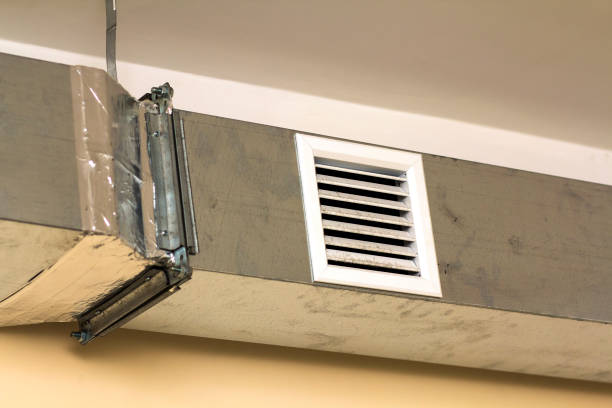 Best Air Vent Cleaning Services  in Bridgeport, AL
